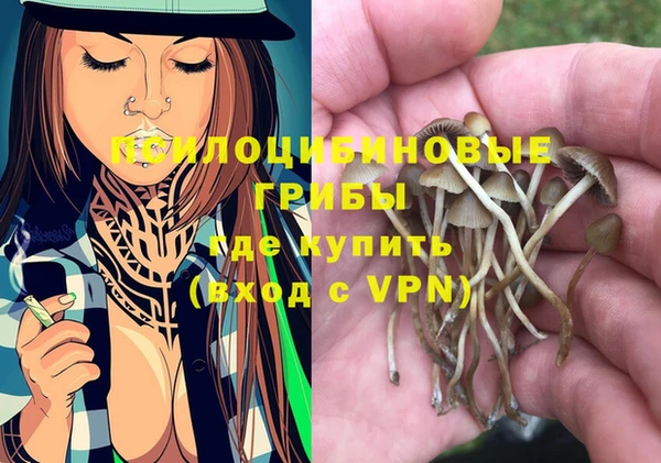 PSILOCYBIN Тайга