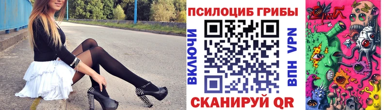 Купить  Буй  Псилоцибиновые грибы ЛСД 