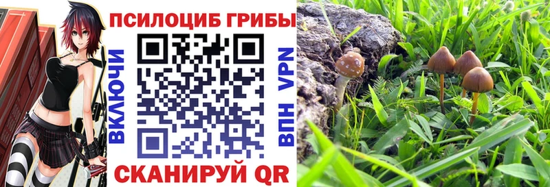 Псилоцибиновые грибы прущие грибы Буй