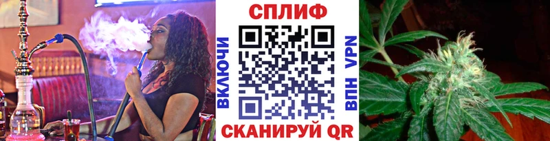 Канабис гибрид  Купить закладки  Буй 